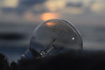 Small Yellow Bulb with a beach background