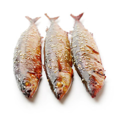 Grilled saury on white background