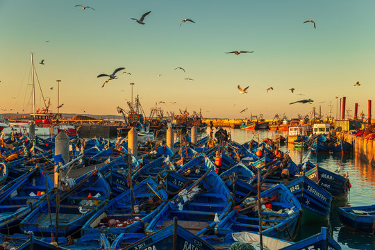 The famous blue boats in the port of Essaouira.