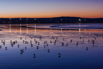 Coastal town Essaouira before sunrise.
