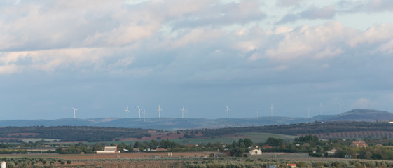 panorámica de un parque eólico