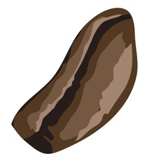 Coffee bean. Vector coffee bean illustration. Isolated white background. Caffeine symbol. Vector illustration, isolated object.