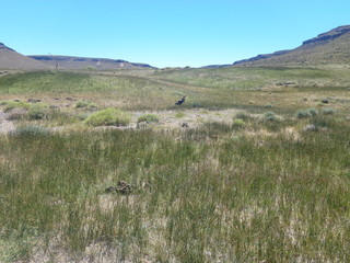 Obraz premium Laguna Fría Argentina Chubut