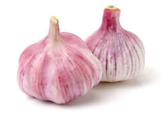 fresh garlic isolated on white background 