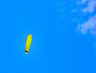 kite in the sky