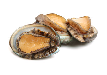 Raw abalones on the white background 