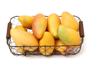 Mango on a white background