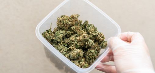 Explore cannabis strains with a new perspective. Cannabinoid and terpene profile, Terpenes in...