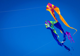 Kites in the clear blue sky in a free flight.