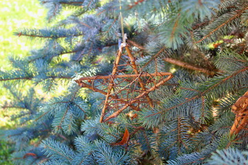 Decoration in the form of a star made of branches hanging on a green Christmas tree.