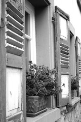 Altes Fenster mit Blumen, Nostalgie, old windows