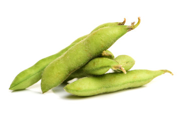 Fresh harvested soybean (edamame) plant isolated on white background