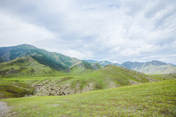 Fototapeta na wymiar Green hills landscape with mountains on background