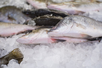 Fresh fish seafood on ice for cooking material.