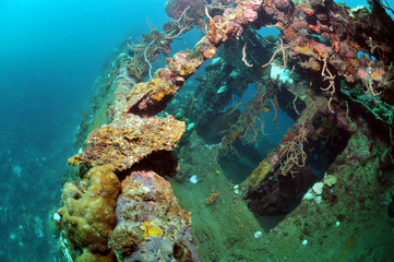 Schiffswrack in Palawan 