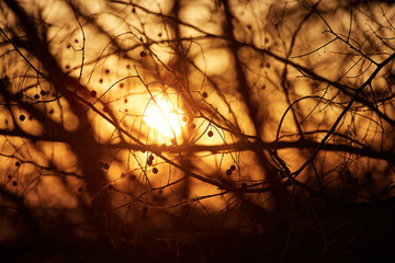 Dramatic sunset sky - abstract photo