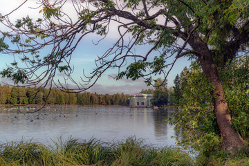 Obraz premium Gatchina Park early on a summer morning. Saint Petersburg, Russia