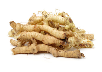 Polygonatum sibiricum on white background