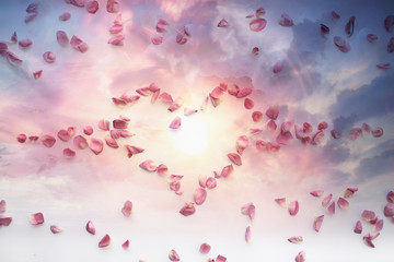 heart rose petals / pink roses, heart-shaped frame petals, love concept