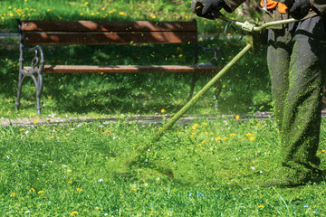 man in coveralls with professional brush cutter mowing grass in the park. green lawn with yellow...