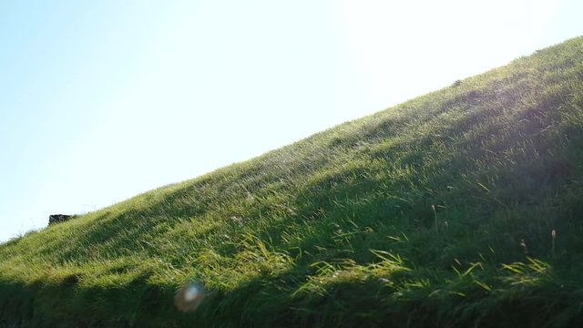 medium wide sidewards pan and tilt down shot from the top of the grass-covered tomb of Newgrange to the surrounding enclosure and walking path. beautiful lens flare on a blue sunny day.