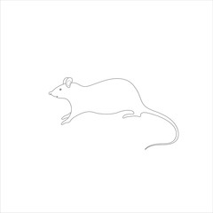 White rat on white background