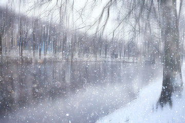 forest snow blurred background / winter landscape snow-covered forest, trees and branches in winter weather