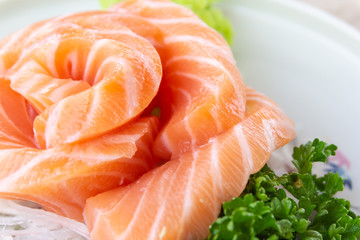Salmon slice arranged beautiful with wasabi and vegetable ,close up