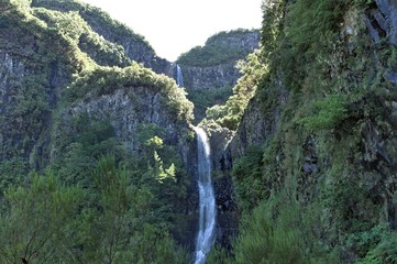 'Risco' waterfall in the forest of Madeira island (Portugal, Europe)