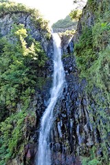 Fototapeta na wymiar 'Risco' waterfall in the forest of Madeira island (Portugal, Europe)