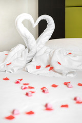 White two towel swans on the bed