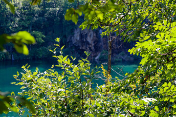 Plitvice Lakes National Park. Croatia’s most popular tourist attraction. Small rivers, waterfalls  and lakes in the forest. Natural beauty mountainous region. Pedestrian routes. Summer. Europe.
