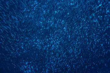 scad jamb under water / sea ecosystem, large school of fish on a blue background, abstract fish alive