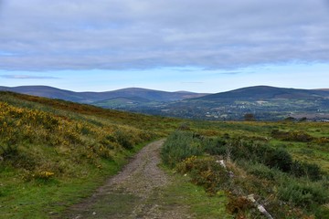 Fototapeta na wymiar ireland landscape - road and view on the wicklow mountains