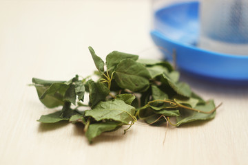 Dried stems and leaves of a medicinal plant as tea leaves. Natural ingredients for the tea ceremony. Do-it-yourself healthy drink.