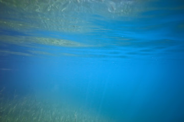 ocean water blue background underwater rays sun / abstract blue background nature water