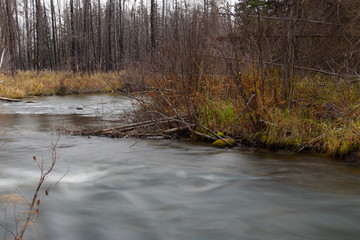  fast flowing creek in forest