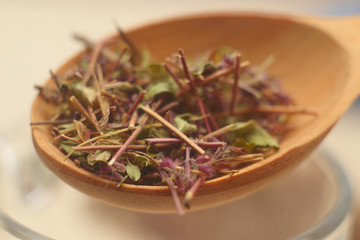 Dried stems and leaves of a medicinal plant as tea leaves. Natural ingredients for the tea ceremony. Do-it-yourself healthy drink.