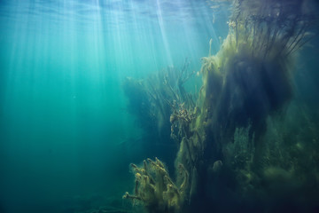 Obraz premium lake underwater landscape abstract / blue transparent water, eco nature protection underwater