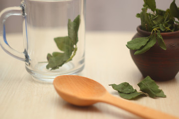 Dried stems and leaves of a medicinal plant as tea leaves. Natural ingredients for the tea ceremony. Do-it-yourself healthy drink.