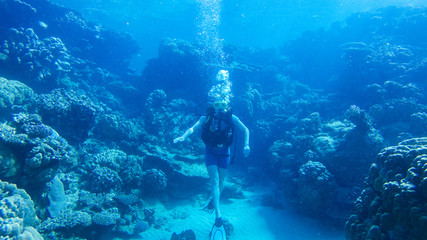 Fototapeta premium Diving with air balloon in the red sea. Instructor. Girl and coral reefs. Traveling lifestyle. Water sports. Beach holidays.