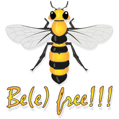 Bee illustration - vector text quotes and bee drawing. Lettering poster or t-shirt textile graphic design...