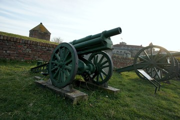 an old cannon exhibited in the park