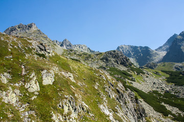Mountains and green forest picturesque scenery. High rocks. Beautiful landscape.