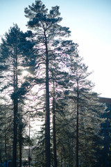 Kuopio Finlande Savo voyage vacances n&ouml;el