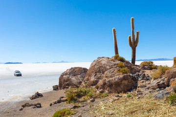 Fototapeta na wymiar Bolivia Uyuni arrival in Incahuasi island