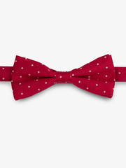 bow-tie, red, muszka, krawat, moda, wygląd, praca, oficjalny - obrazy, fototapety, plakaty