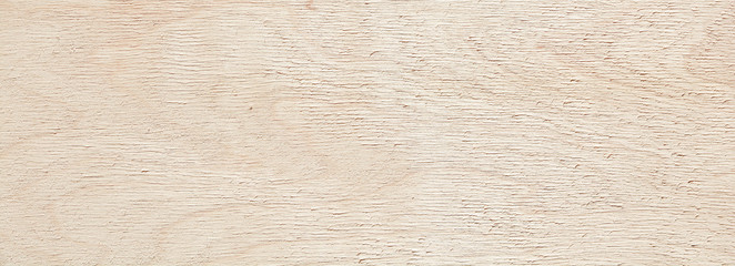 Texture of light wood background