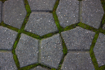 Texture. Background. Concrete path overgrown with grass