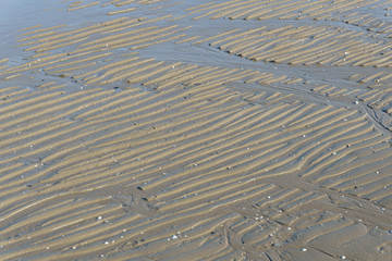 texture of sand